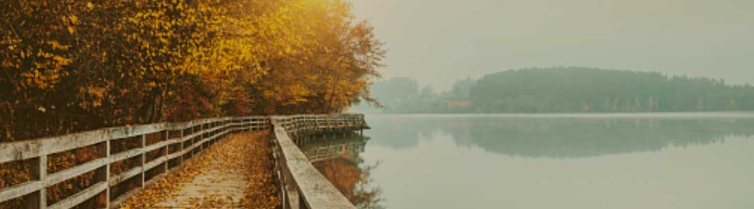 Banner_About